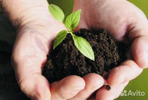 Чернозём Рязань ld6