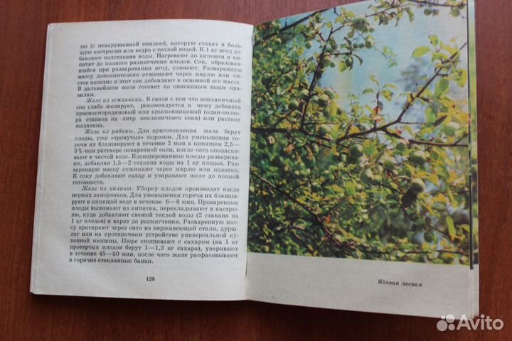 Дикорастущие плоды и ягоды