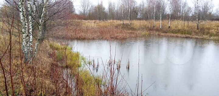 Дом 50 м² на участке 38 сот.