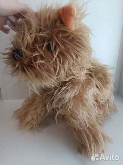 Детские игрушки