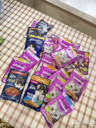 Корм для кошек вискас желе пакеты