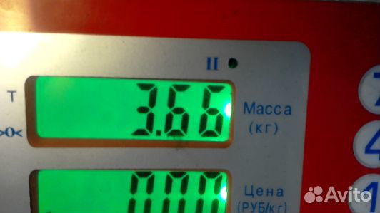 Выпускной коллектор дизельный ford ranger 1 (80A29