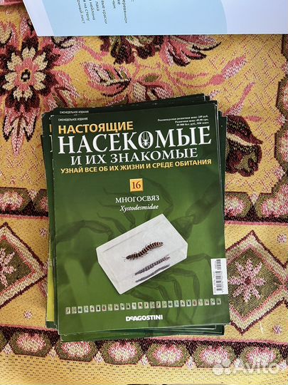 Насекомые и их знакомые