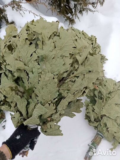 Веники для бани