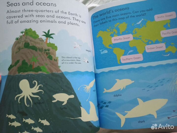 Книга на английском.Usborne.Our world