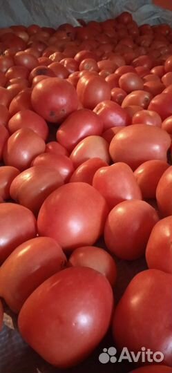 Помидоры свежие домашние