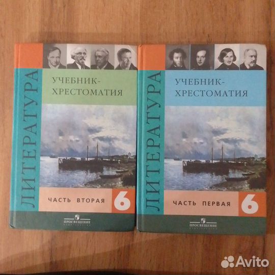 Хрестоматия литература 6 класс Полухина В.П