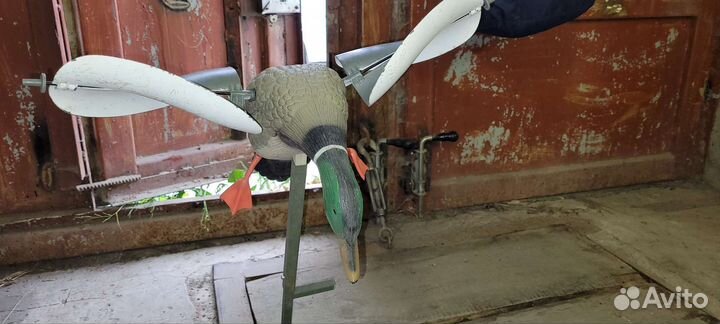 Чечела уток, гусей 20 шт., вороны 3 шт, махокрыл