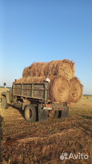 Сено в тюках