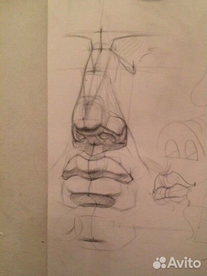 Репетитор по рисованию, академическому рисунку и ч