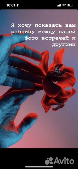 Услуги фотографа