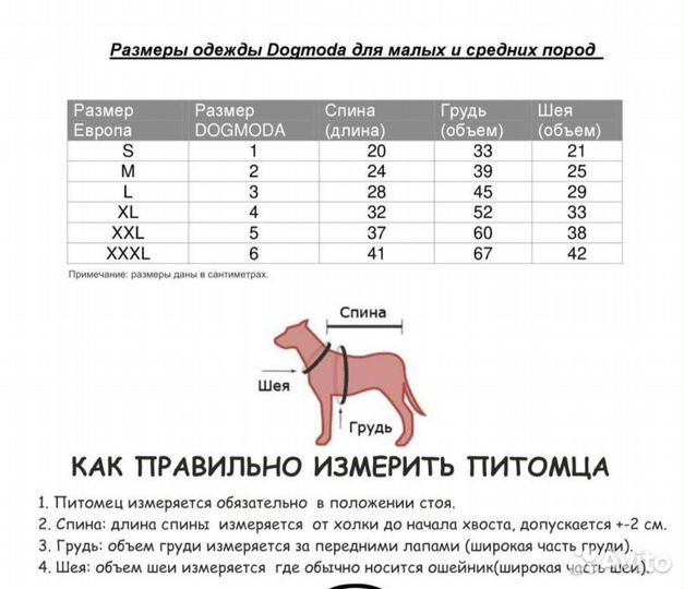 Одежда для собак мелких пород