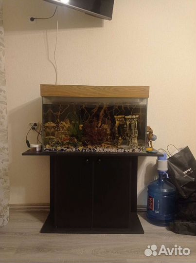 Аквариум с тумбой бу