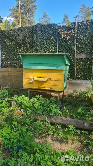 Улей для пчел бу