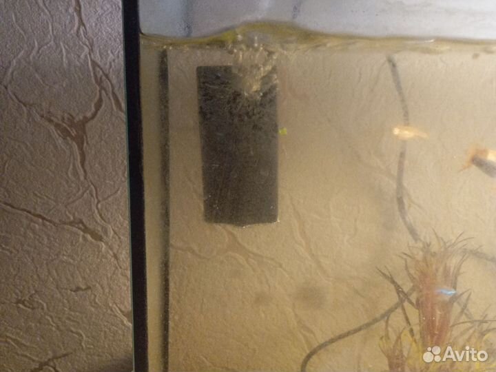 Аквариум с рыбками бу