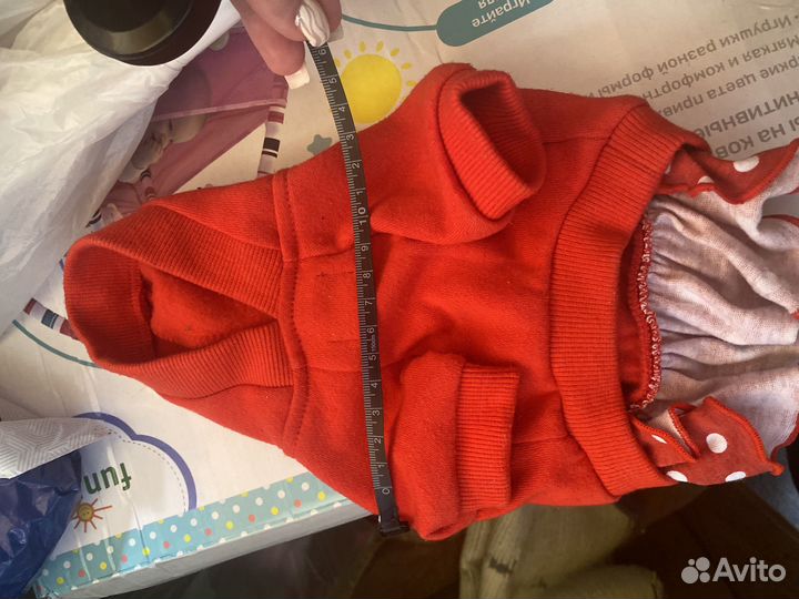 Одежда для собак и кошек