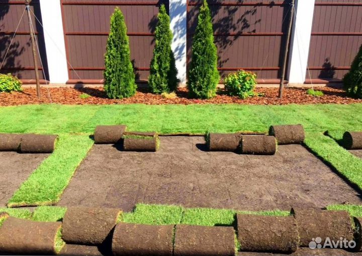 Натуральный рулонный газон от производителя