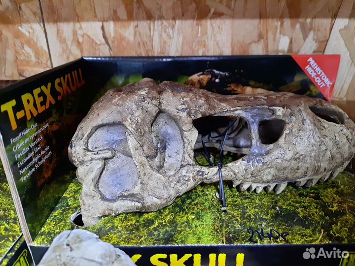 Декорации для террариума и рептилий