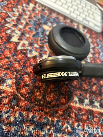 Bang & Olufsen Beoplay H9