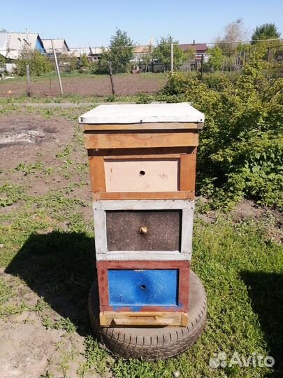 Продаются пчелиные10-рамочные улья