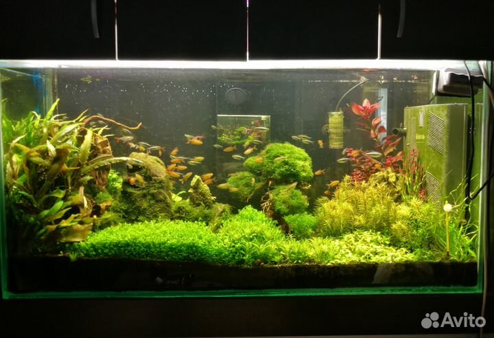 LED светильник для пресноводных аквариумов