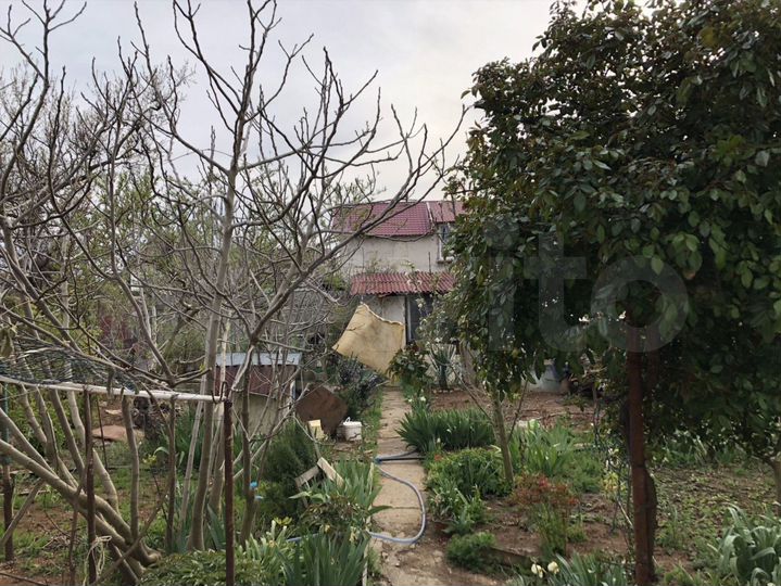 Участок 5 сот. (СНТ, ДНП)