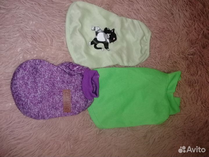 Одежда для животных