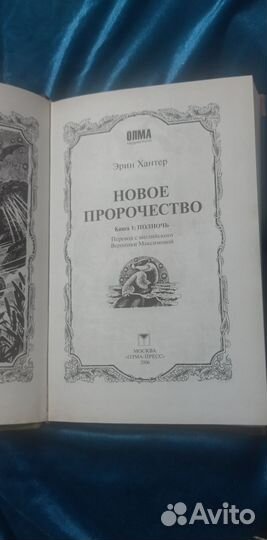 Коты воители. Полночь