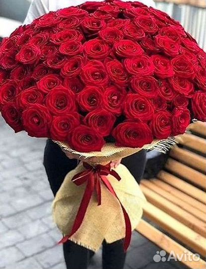 Розы Букеты Цветы Розы 31 101 151 201 Доставка