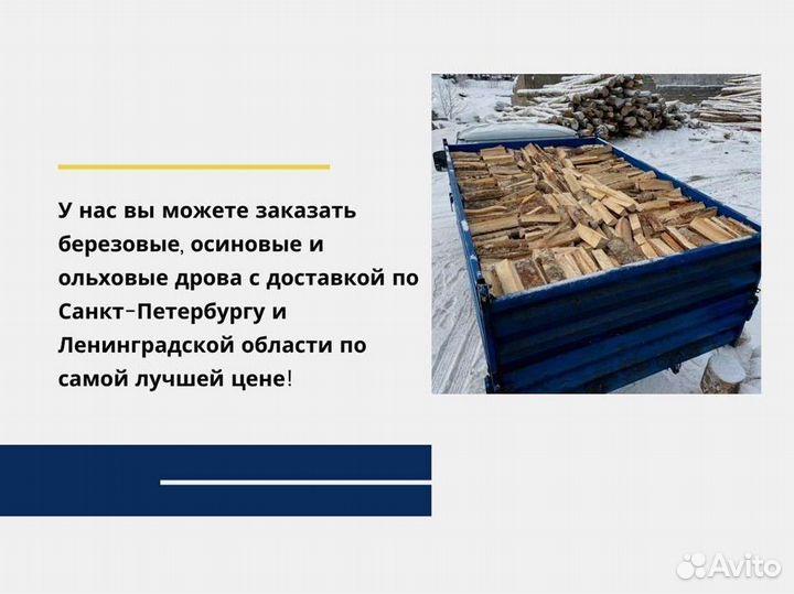 Дрова колотые березовые