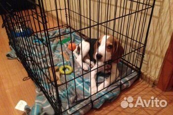 Клетка для собак новая