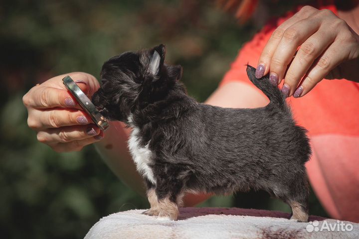 Голубое облачко