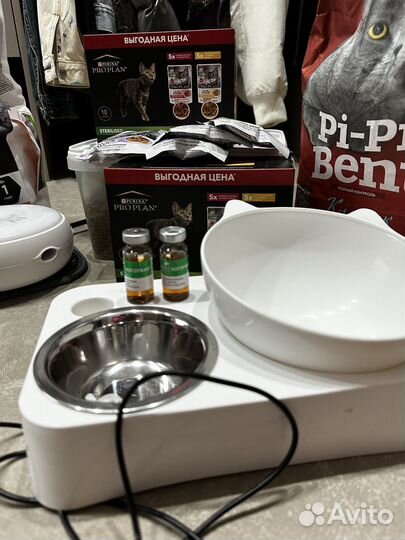 Все для ухода за кошкой