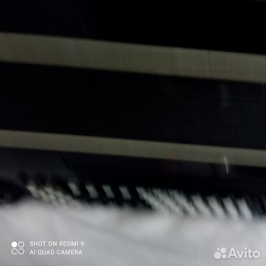 Баян кировский