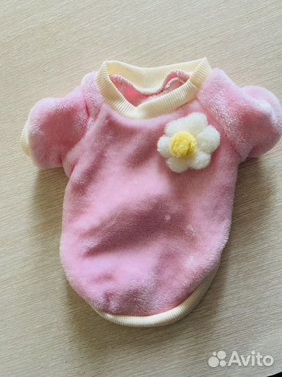 Одежда для маленьких собак