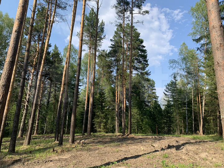 Участок 15 сот. (СНТ, ДНП)