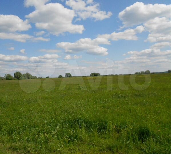 Участок 70 сот. (ИЖС)