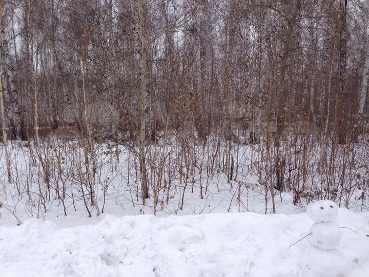 Участок 10 сот. (СНТ, ДНП)