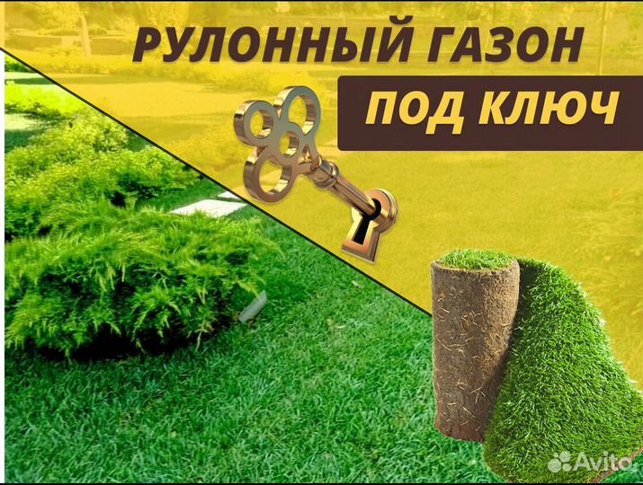 Газон рулонный от производителя спортивный