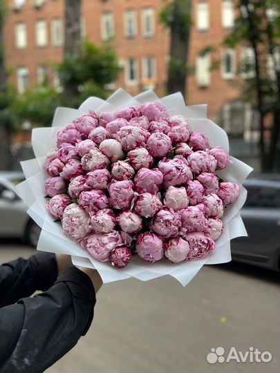 Пионы букет