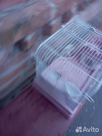 Клетка для грызунов