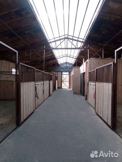 Постой лошадей