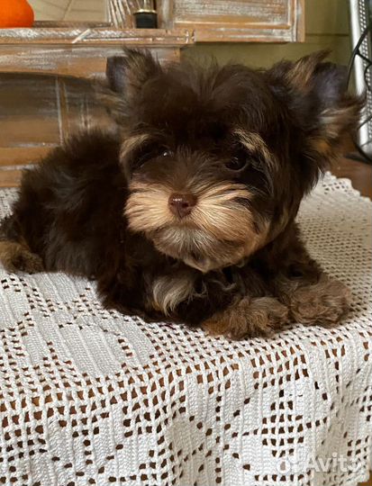 Девочка мини размер