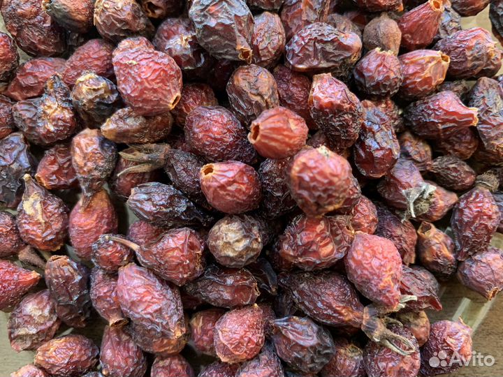 Шиповник сушеный Шиповник ягоды