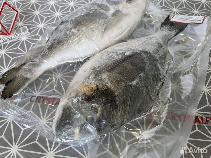 Дорадо, свежемороженый