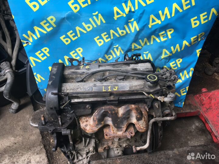 Двигатель Ford Zetec 1,6 L1J