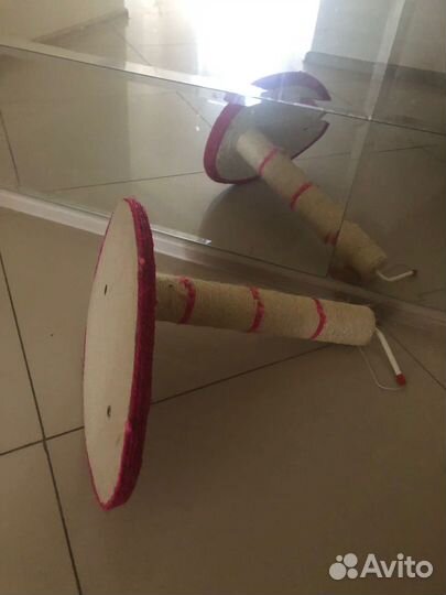 Когтеточка