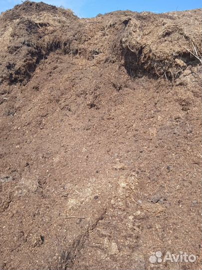 Навоз конский, коровий