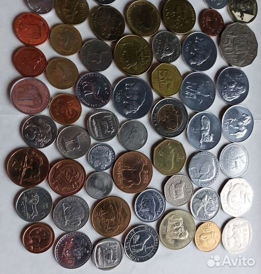 Животные (Фауна) монеты