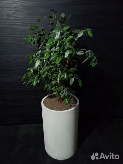 Кашпо, Вазоны, Горшки под заказ из бетона арт 193